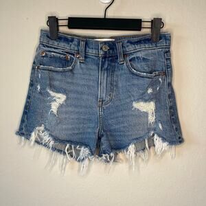Abercrombie & Fitch Curve Love The Mom Short High Rise - Size 25/0